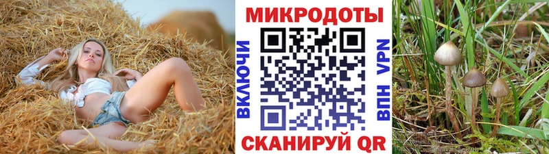 Галлюциногенные грибы GOLDEN TEACHER  Купить закладки  Ангарск 